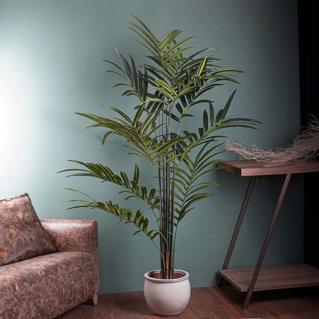 Verde artificiale Kenzia artificiale con vaso nero • 210 cm