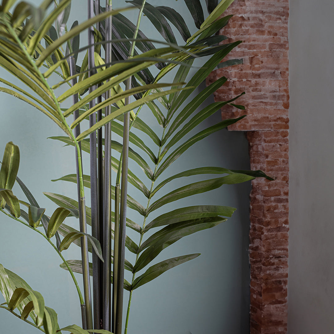 Verde artificiale Kenzia artificiale con vaso nero • 210 cm