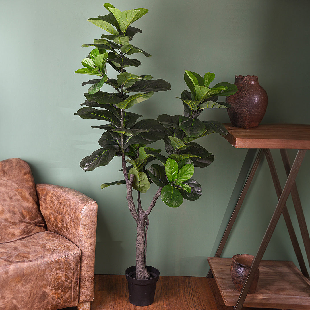 Verde artificiale Ficus lyrata con vaso • 175 cm