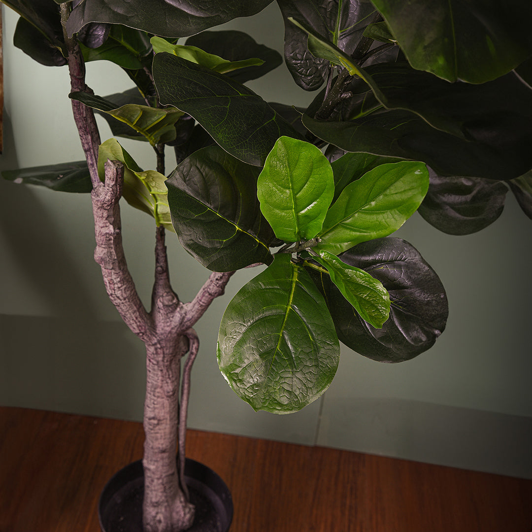 Verde artificiale Ficus lyrata con vaso • 175 cm
