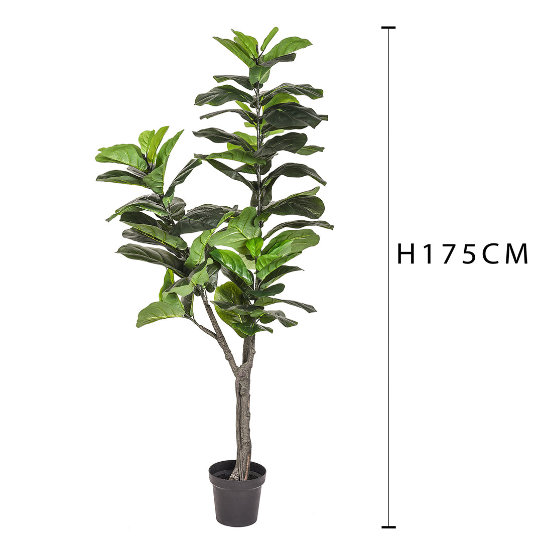 Verde artificiale Ficus lyrata con vaso • 175 cm