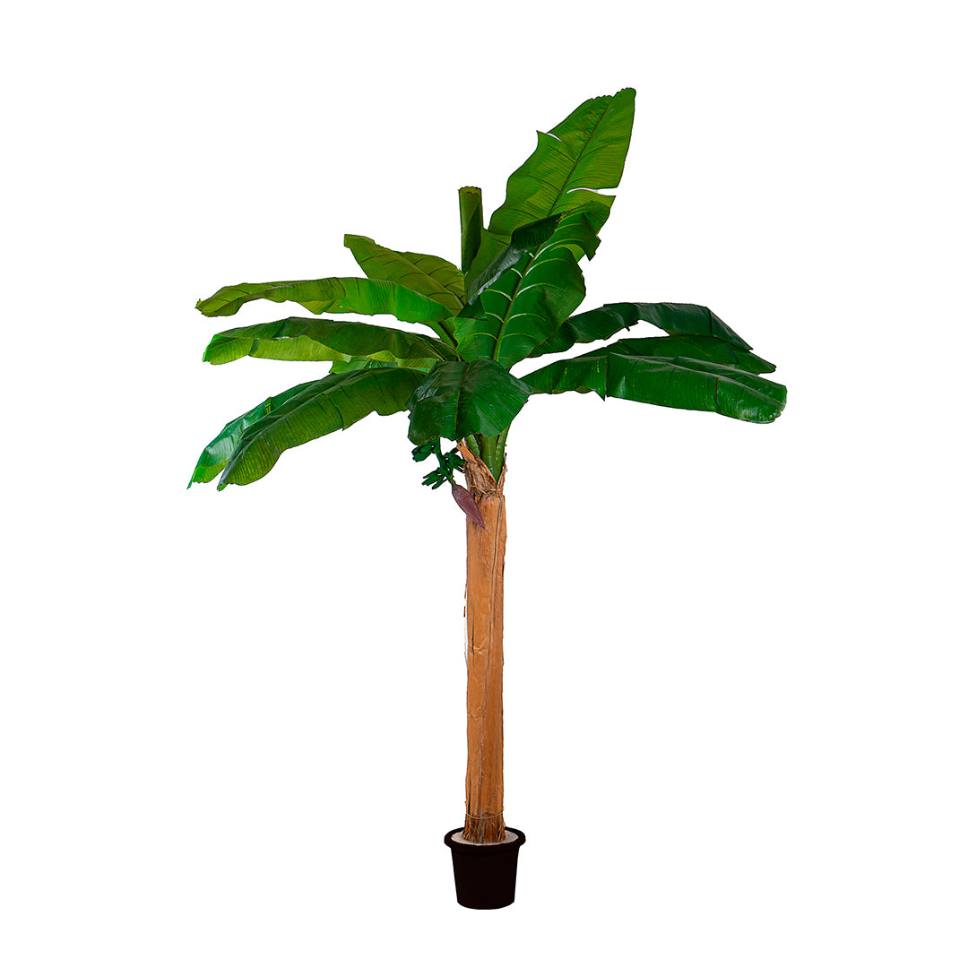 Verde artificiale Pianta banana con vaso • 240 cm