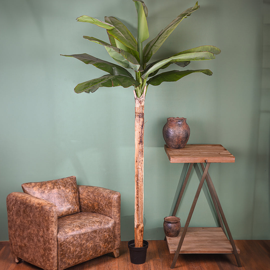 Verde artificiale Pianta banana con vaso • 240 cm