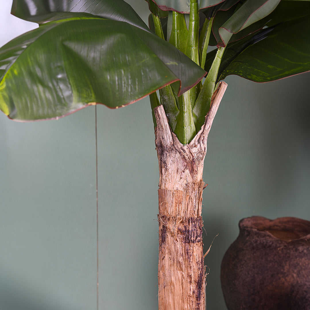 Verde artificiale Pianta banana con vaso • 240 cm