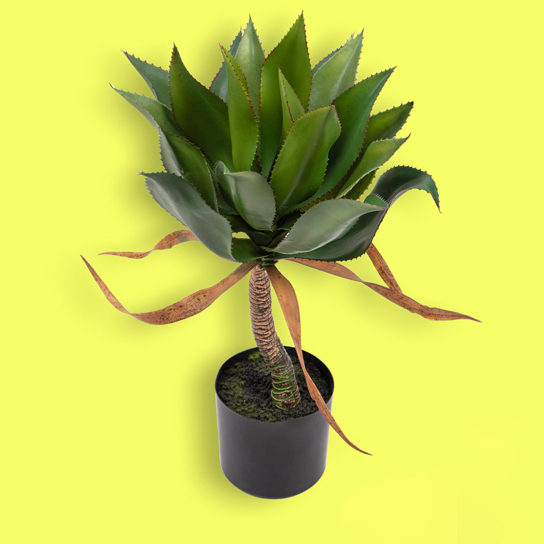 Pianta di Agave artificiale con vaso • 71 cm