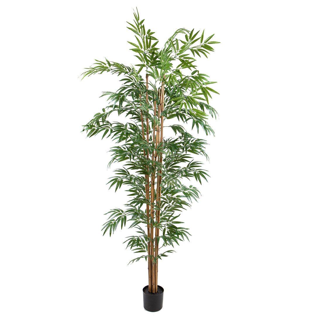 Verde artificiale Bamboo italiano con vaso • 240 cm