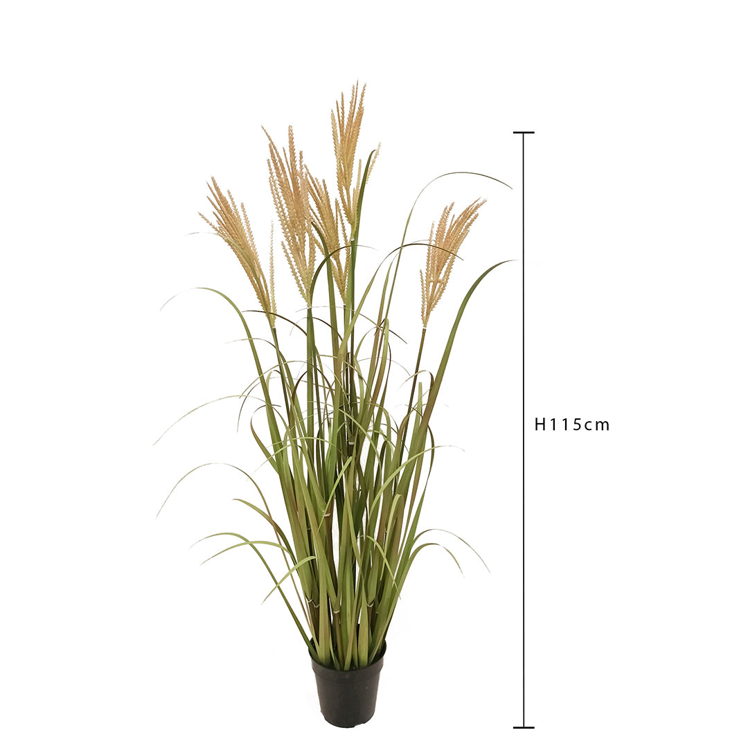 Verde artificiale Pennisetus con vaso • 115 cm