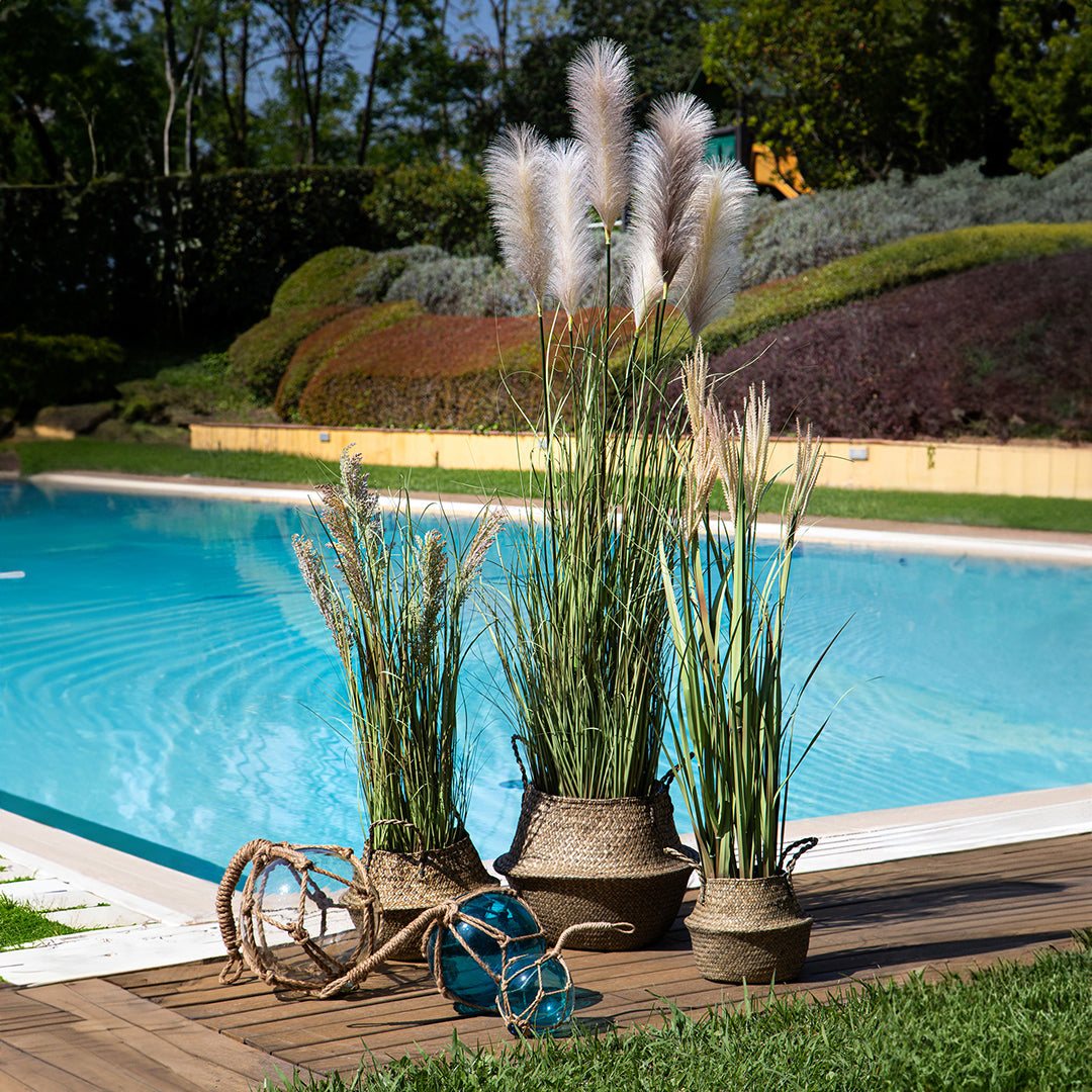 Verde artificiale Pennisetus con vaso • 115 cm