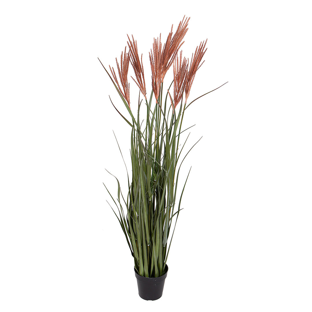 Verde artificiale Pennisetus con vaso • 137 cm