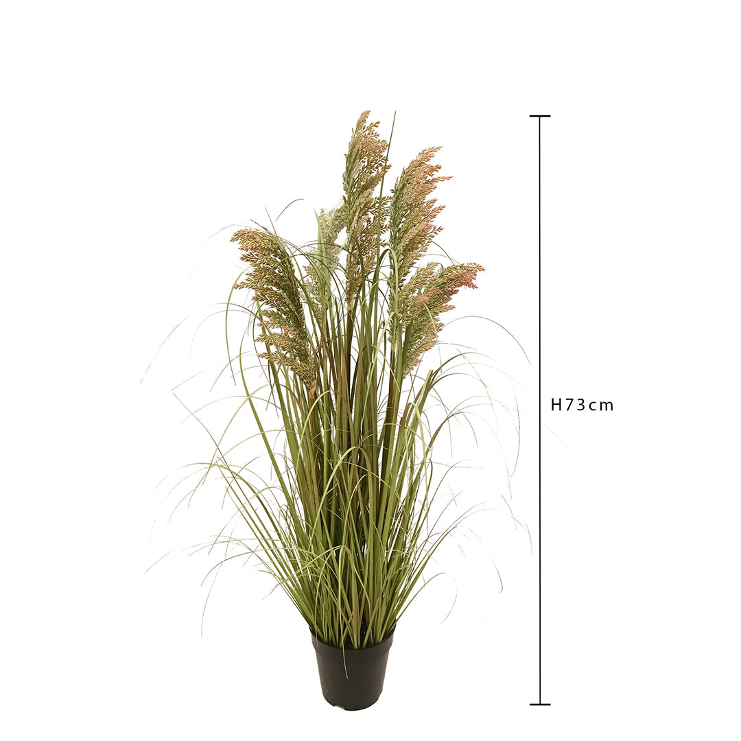 Verde artificiale Gynerium artificiale con vaso • 73 cm