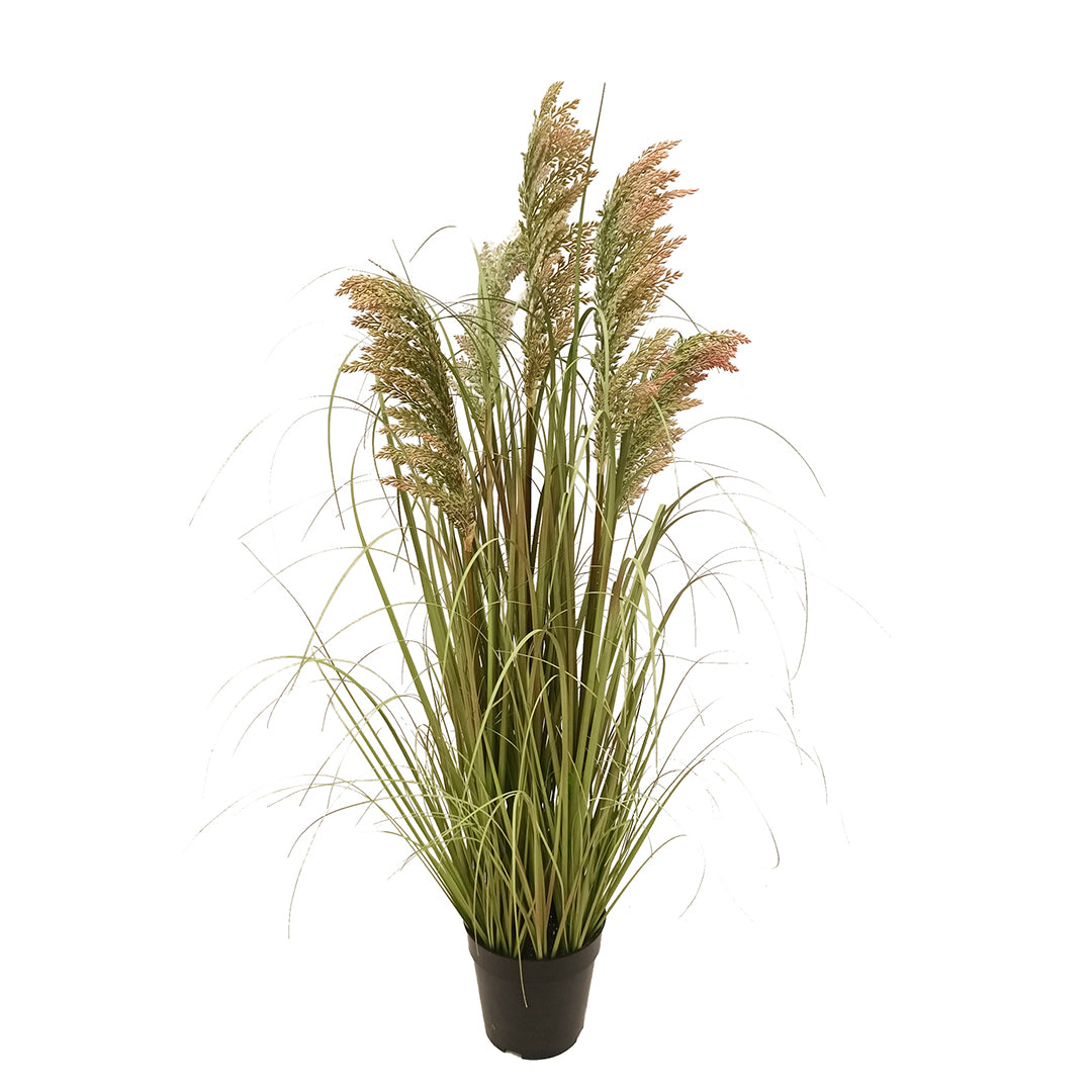 Verde artificiale Gynerium artificiale con vaso • 73 cm