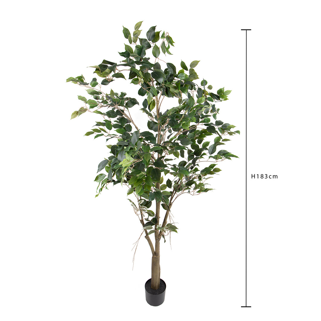 Verde artificiale Ficus con vaso • 183 cm