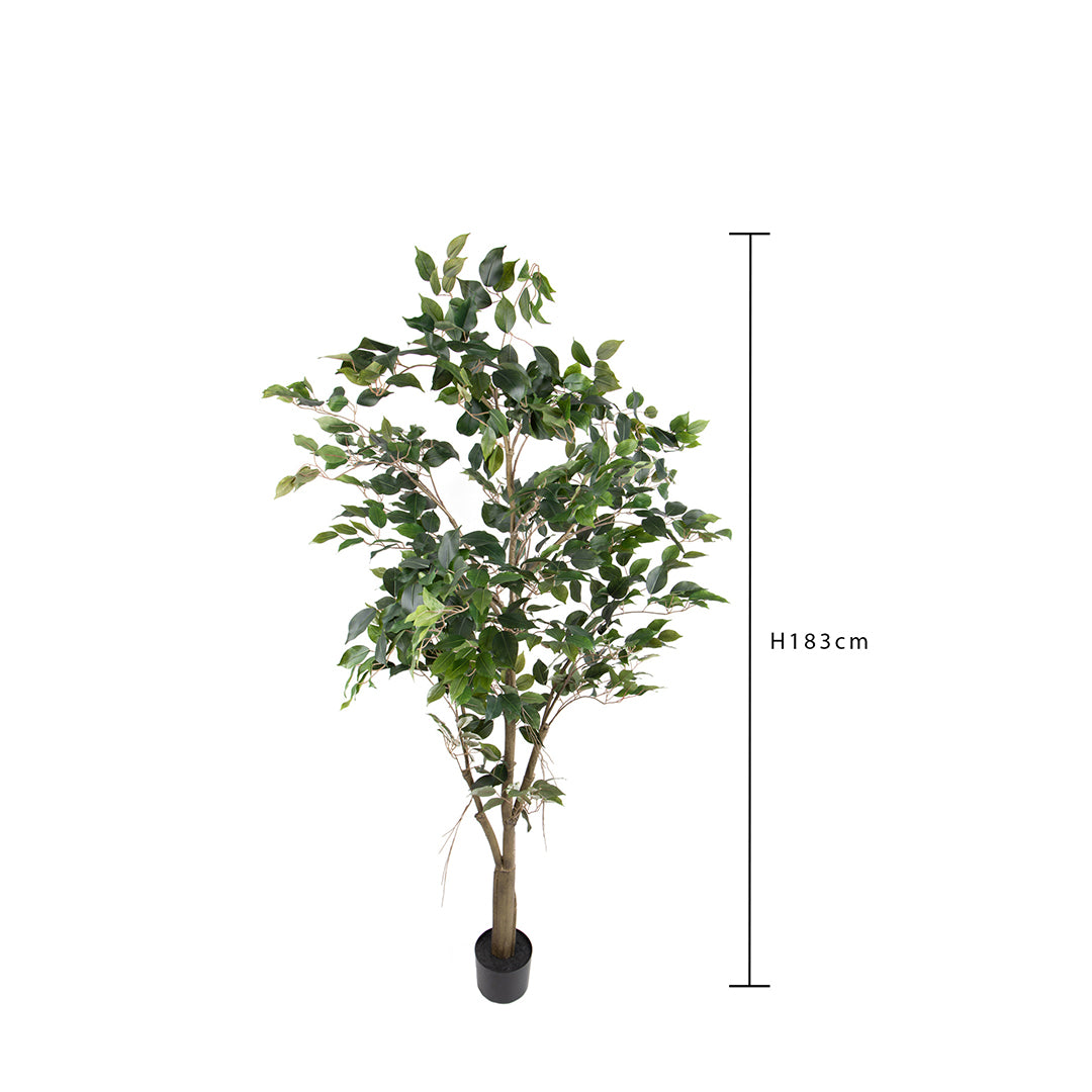Verde artificiale Ficus con vaso • 183 cm