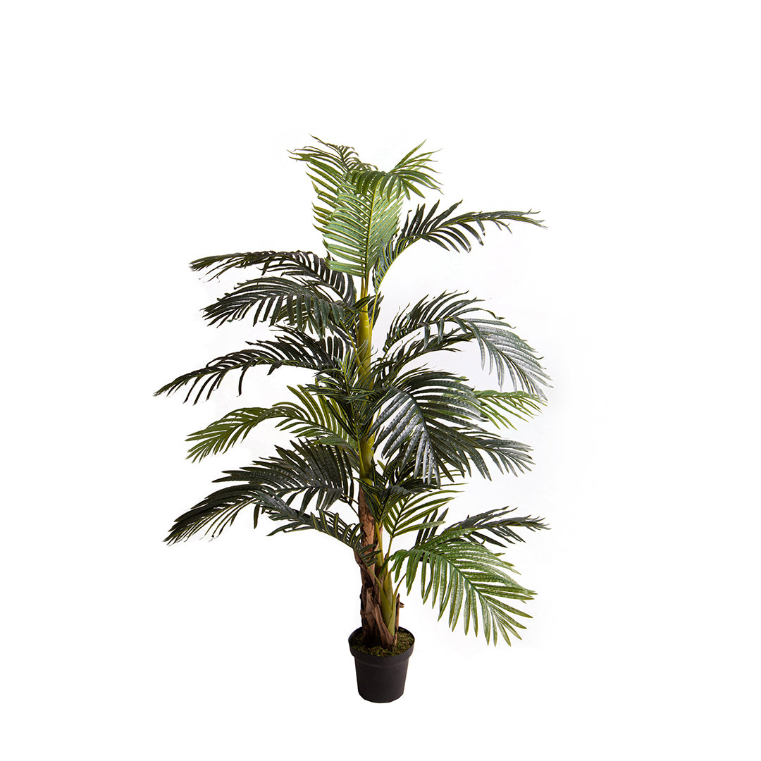 Verde artificiale Areca con vaso • 190 cm