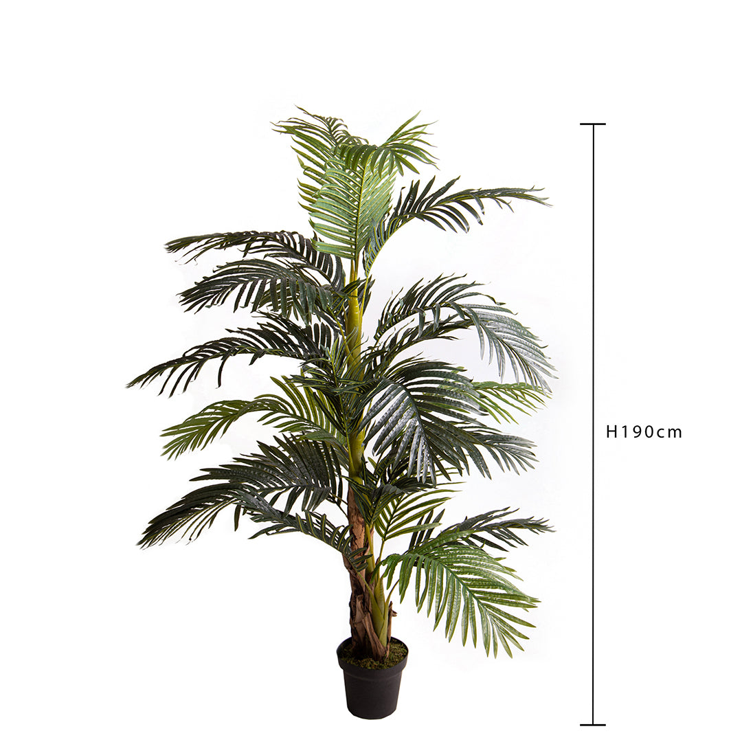 Verde artificiale Areca con vaso • 190 cm