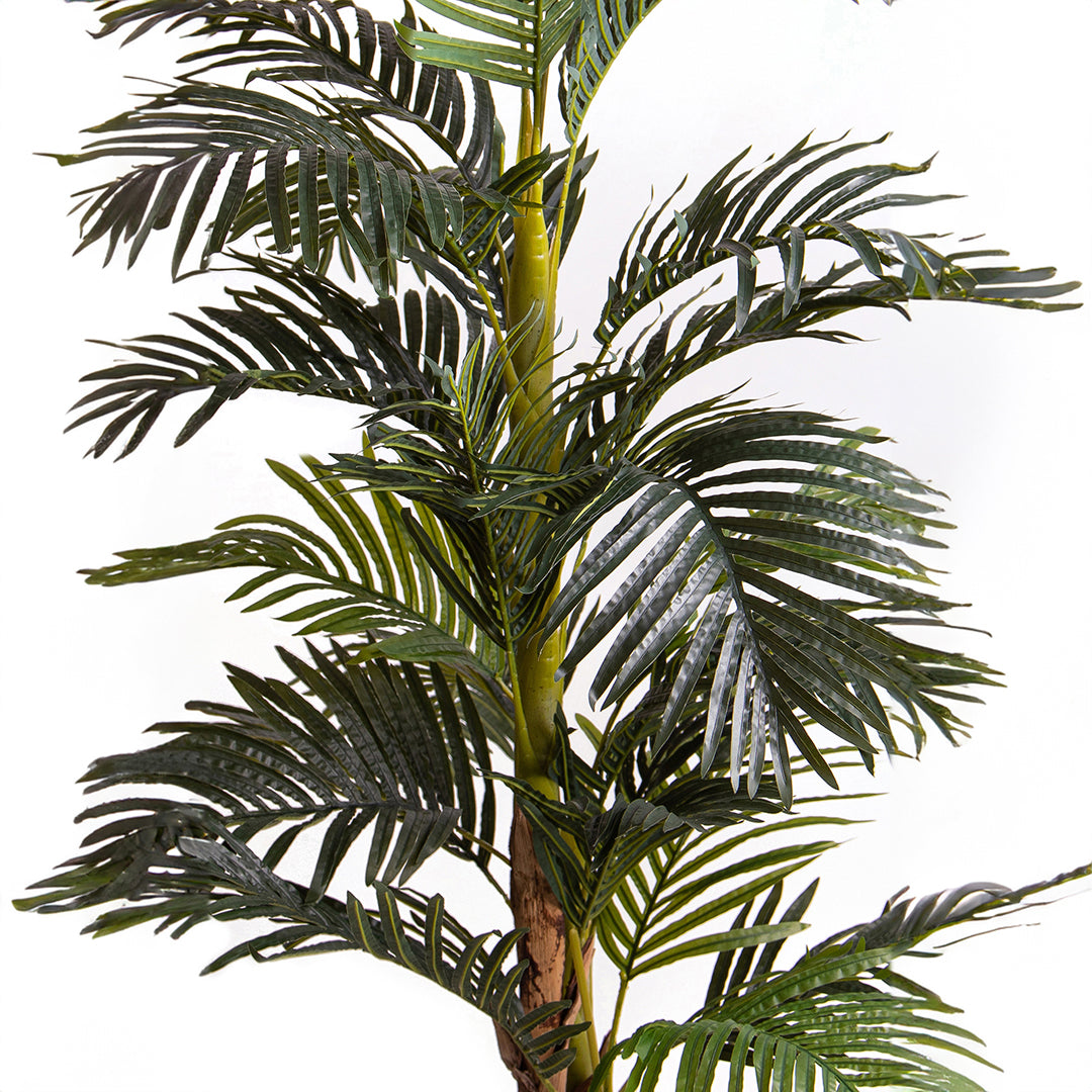Verde artificiale Areca con vaso • 190 cm