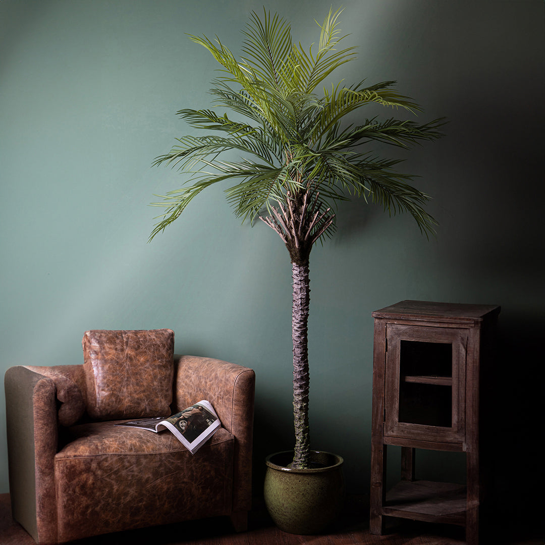 Verde artificiale Palma per 19 con vaso • 200 cm