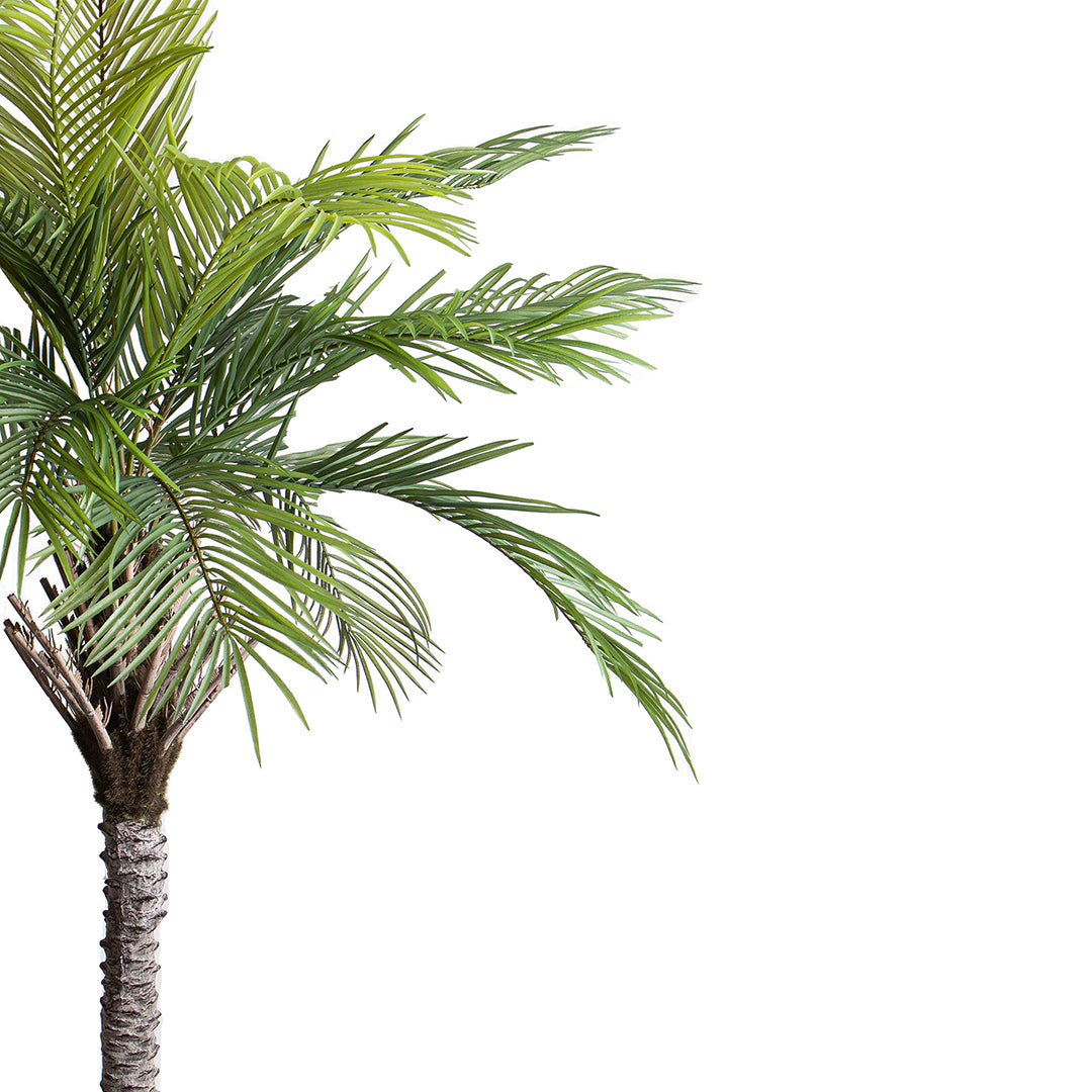 Verde artificiale Palma per 19 con vaso • 200 cm