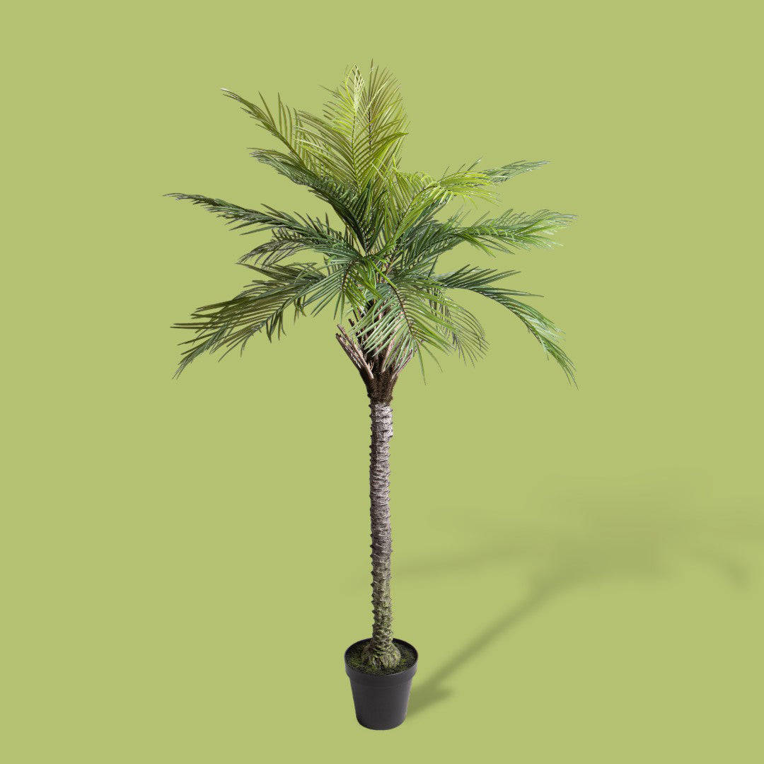 Verde artificiale Palma per 19 con vaso • 200 cm