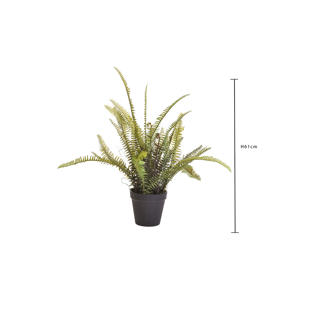 Verde artificiale Felce boston con vaso • 61 cm