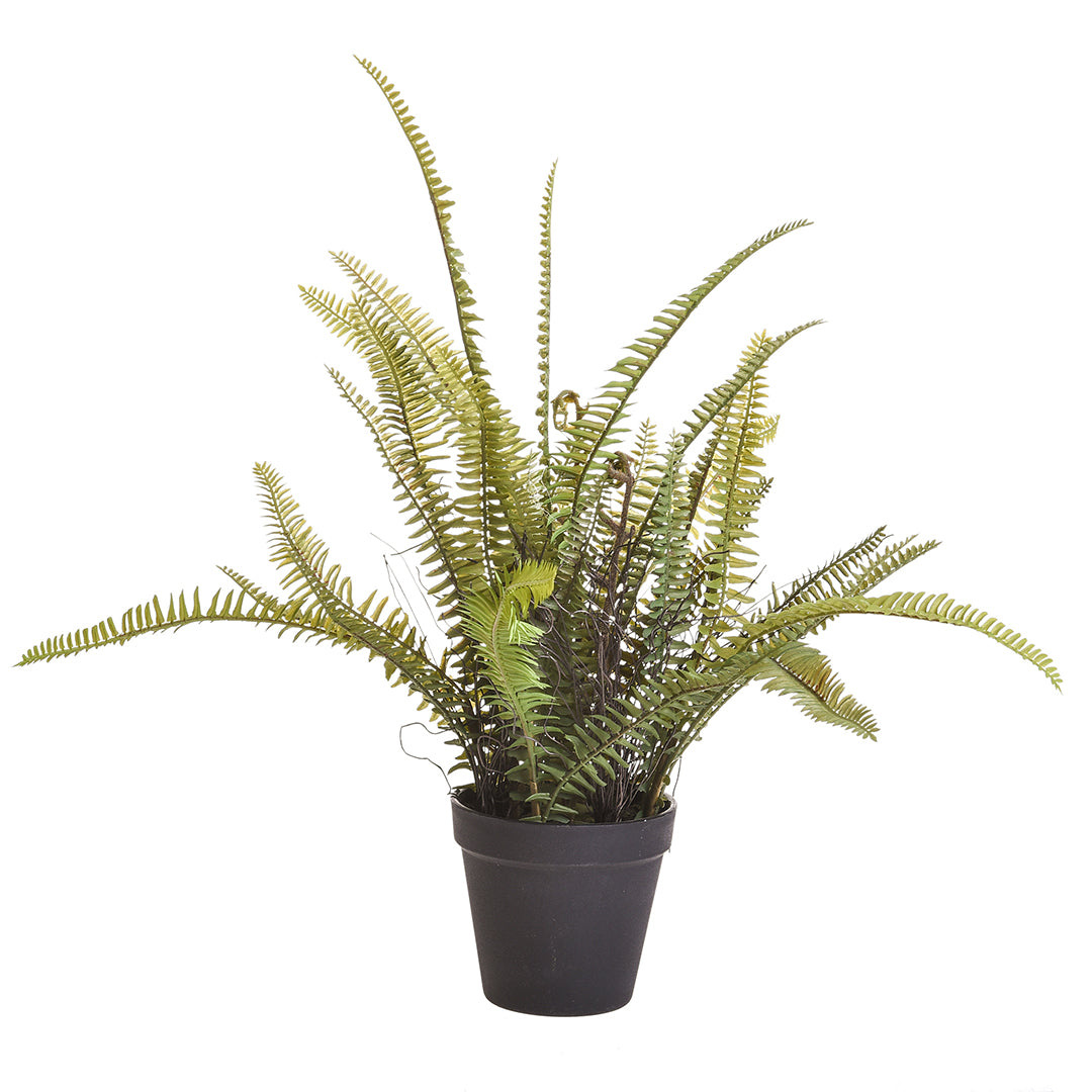 Verde artificiale Felce boston con vaso • 61 cm