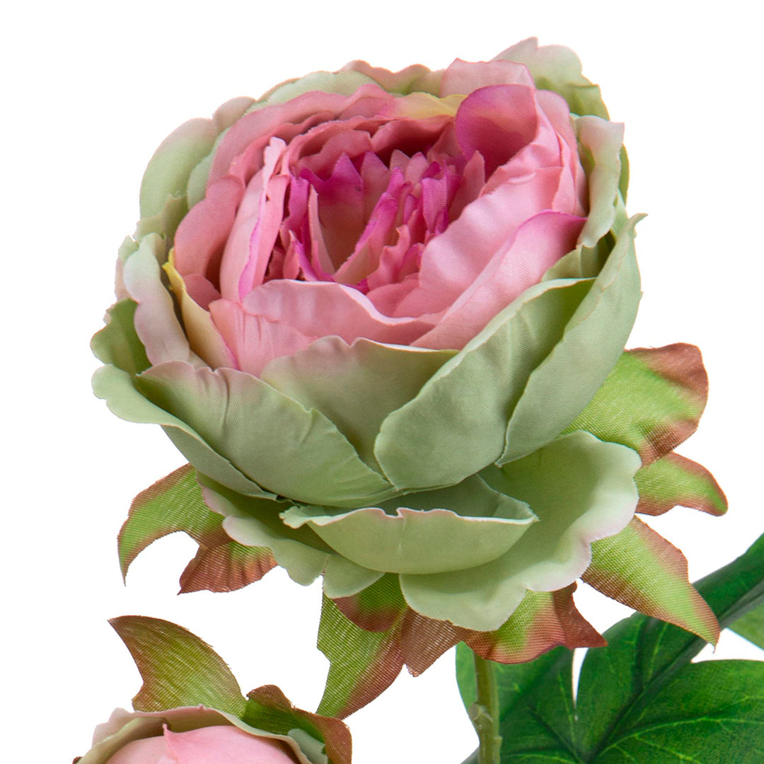 2 Pezzi • Peonia artificiale con 2 fiori • 60 cm