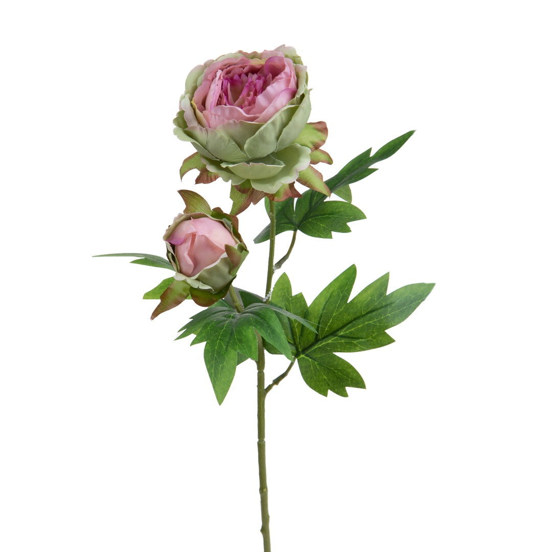 2 Pezzi • Peonia artificiale con 2 fiori • 60 cm