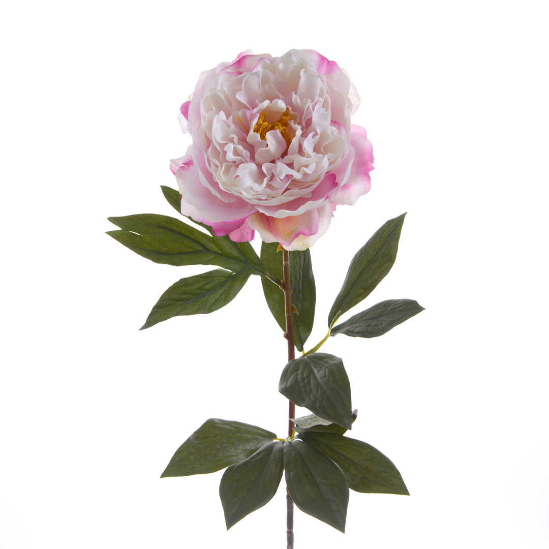 3 Pezzi • Peonia aperta artificiale • 76 cm