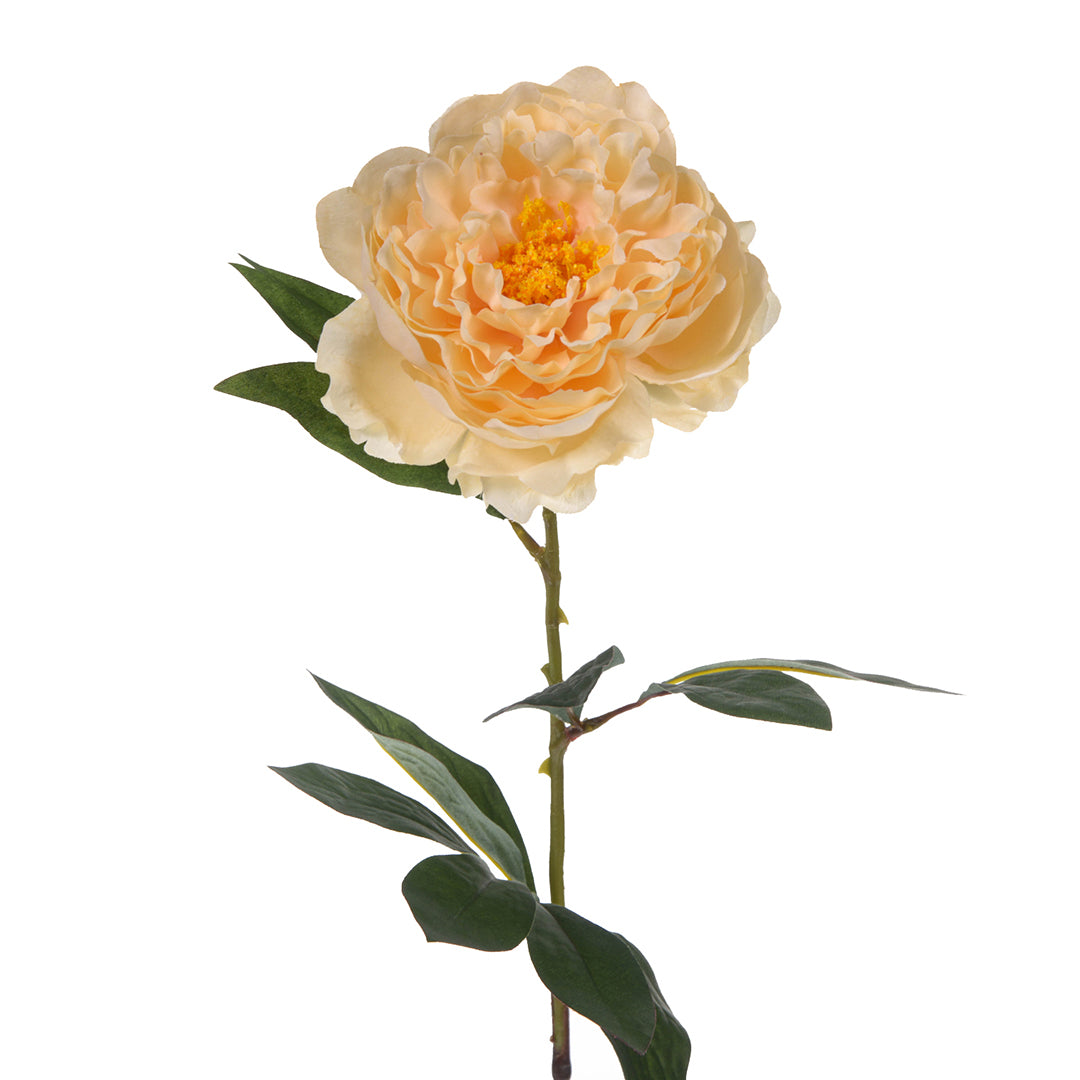 6 Pezzi • Peonia aperta artificiale • 76 cm