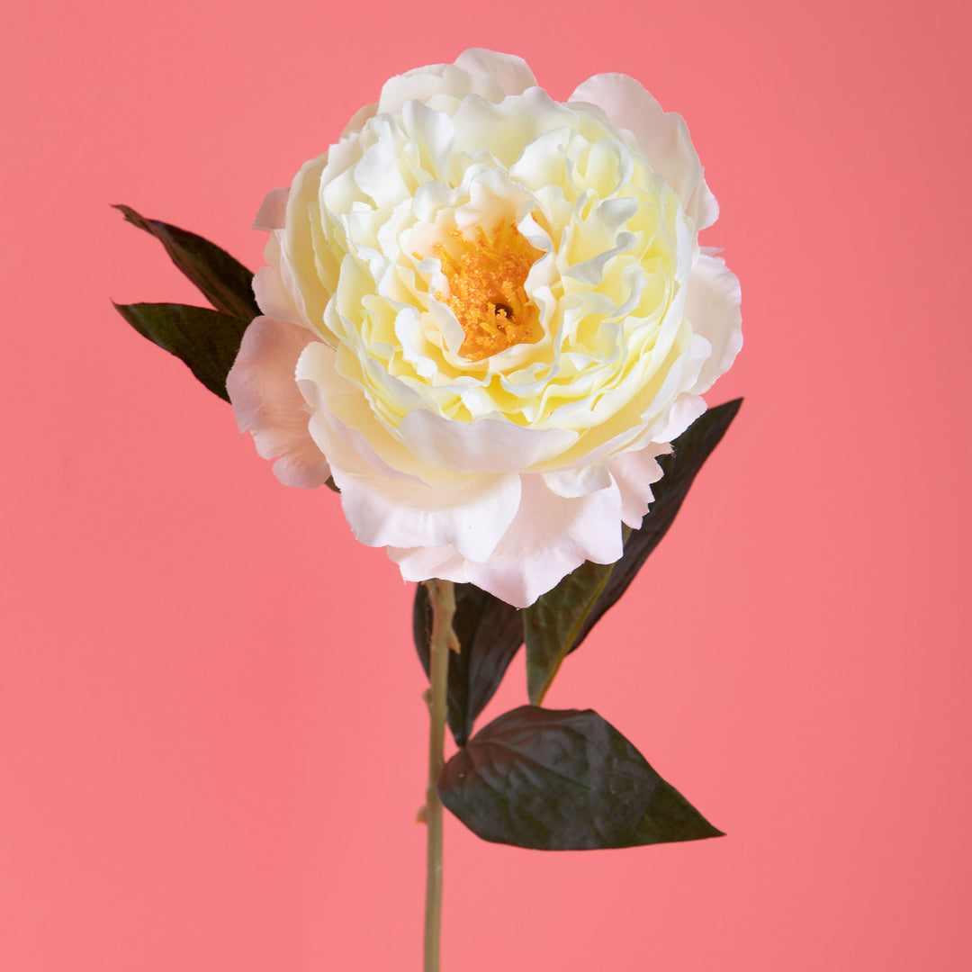 3 Pezzi • Peonia aperta artificiale • 76 cm