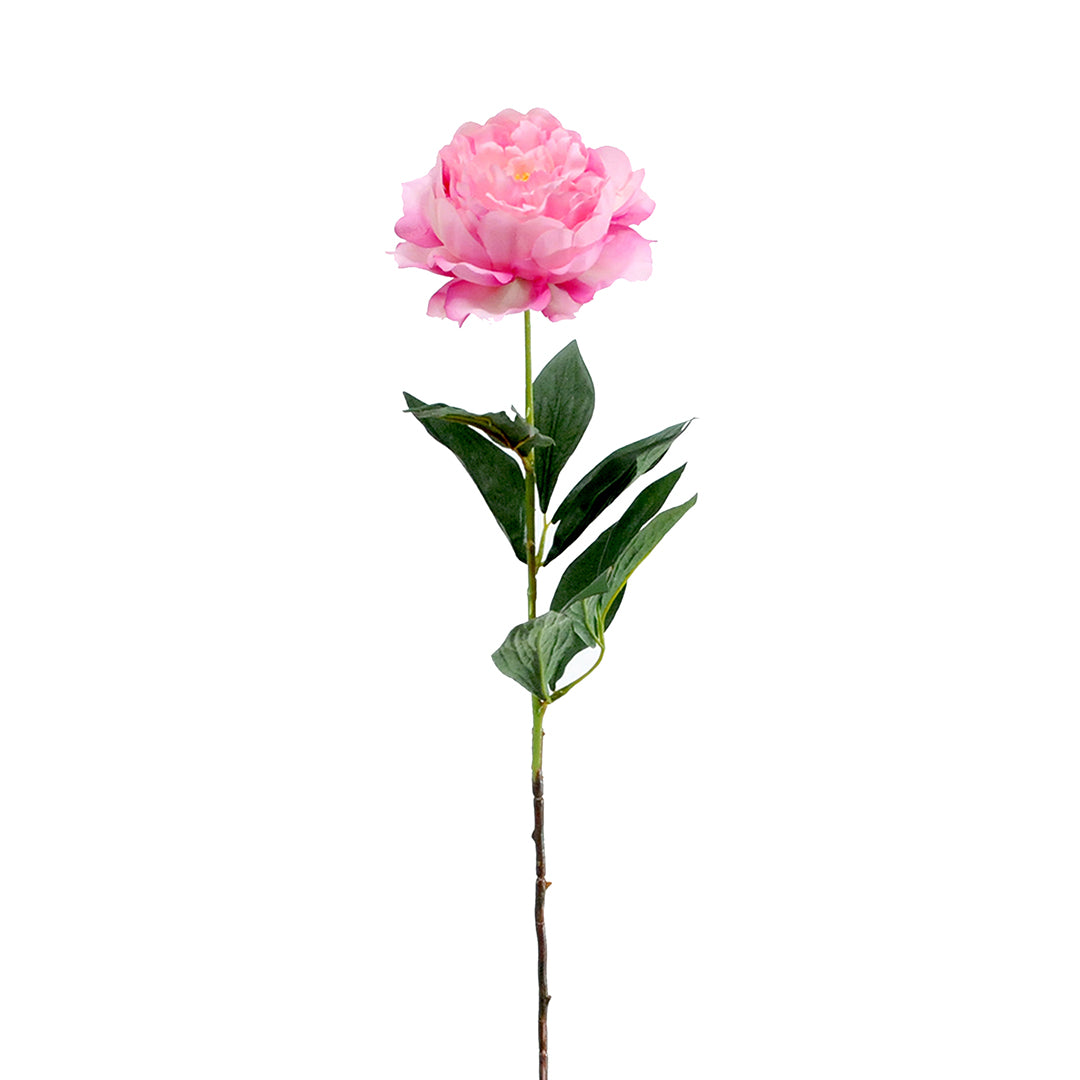 3 Pezzi • Peonia aperta artificiale • 76 cm