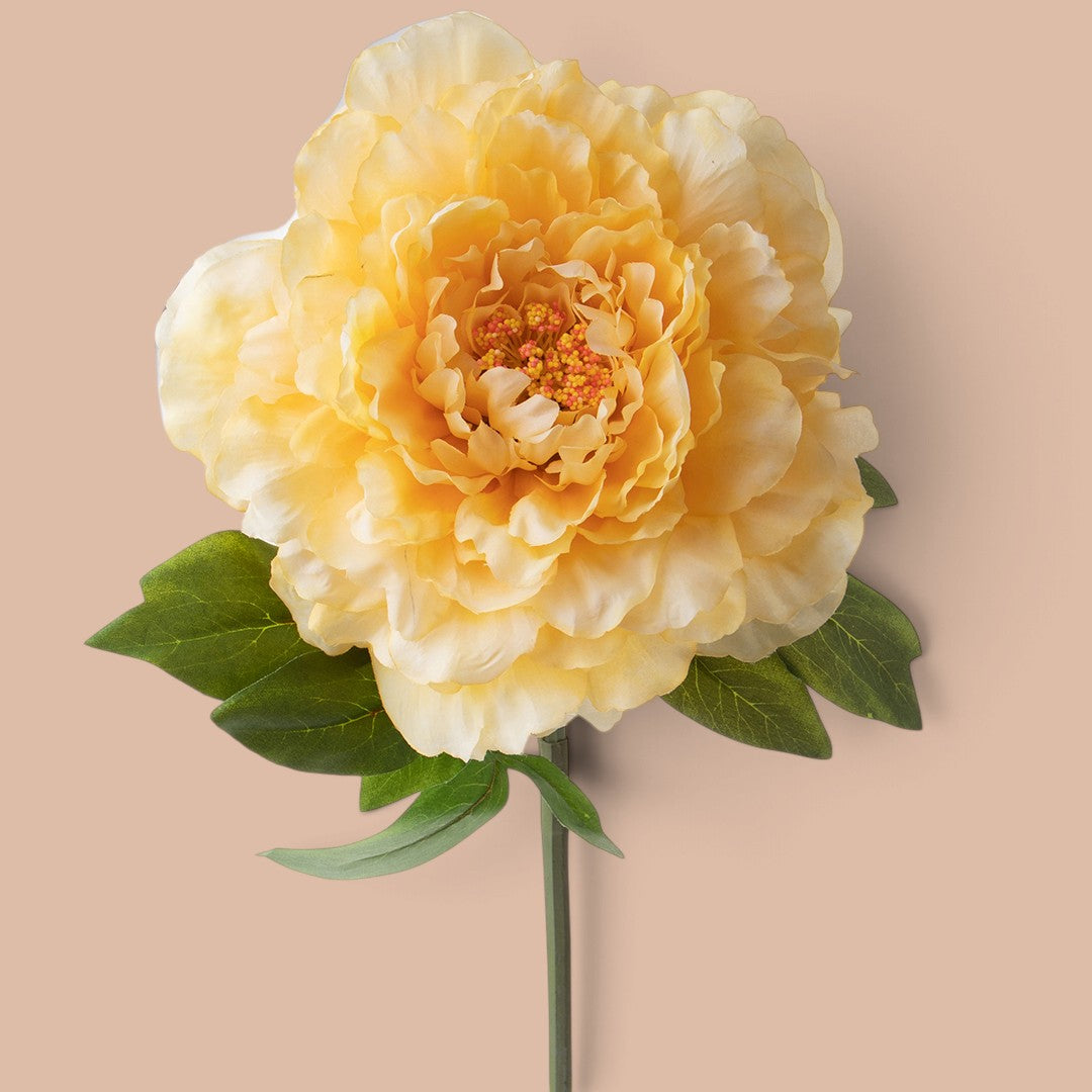 6 Pezzi • Peonia • 70 cm