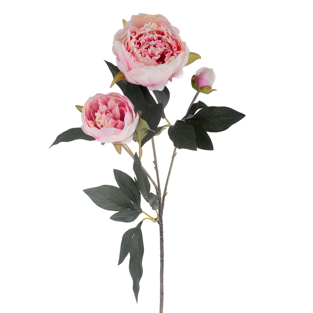 2 Pezzi • Fiore di Peonia artificiale con 3 fiori • 74 cm