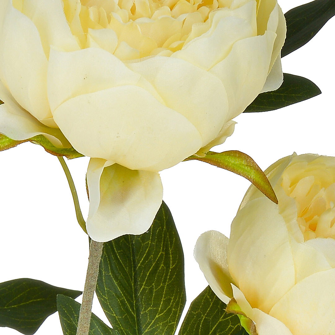 2 Pezzi • Fiore di Peonia artificiale con 3 fiori • 74 cm
