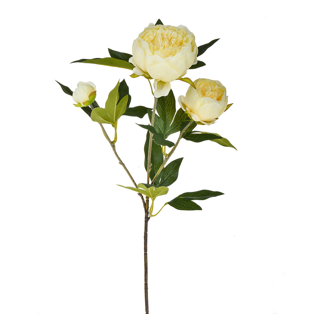 2 Pezzi • Fiore di Peonia artificiale con 3 fiori • 74 cm