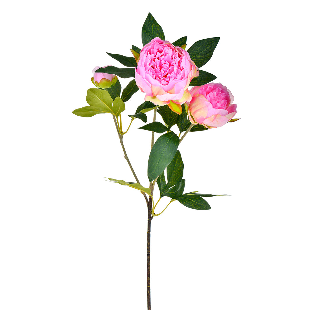 2 Pezzi • Fiore di Peonia artificiale con 3 fiori • 74 cm
