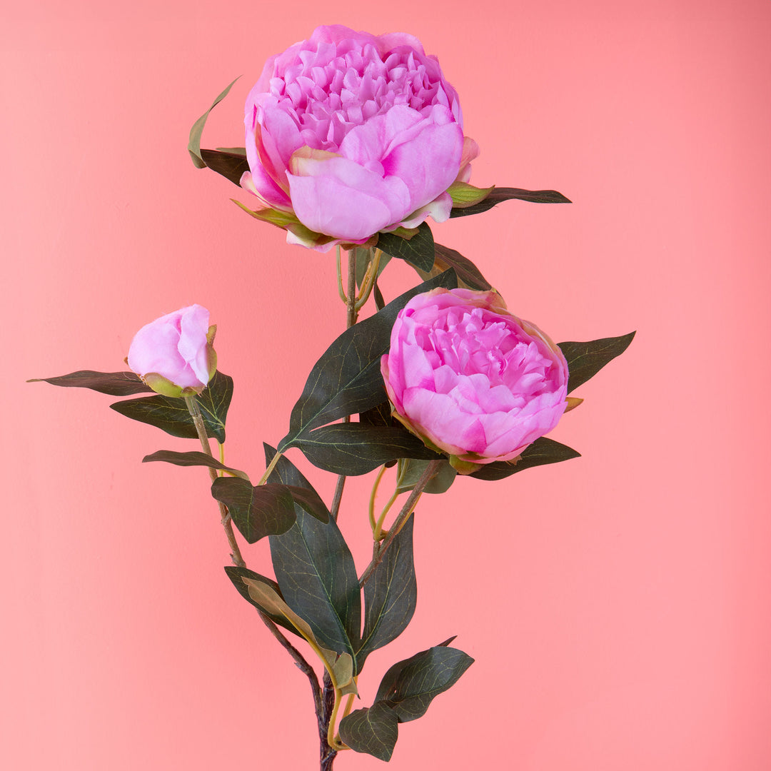 2 Pezzi • Fiore di Peonia artificiale con 3 fiori • 74 cm