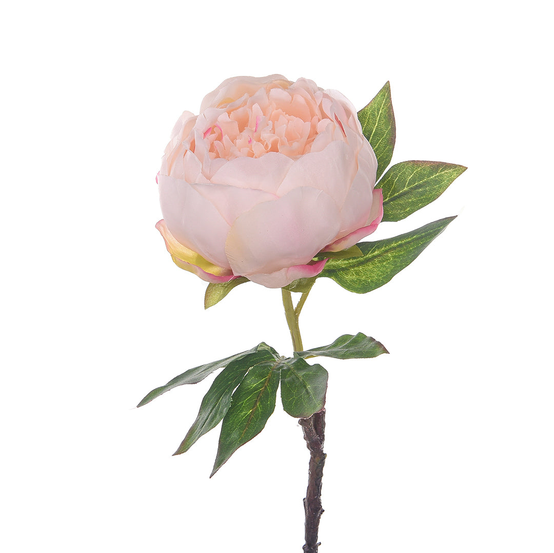 2 Pezzi • Fiore di Peonia artificiale • 50 cm