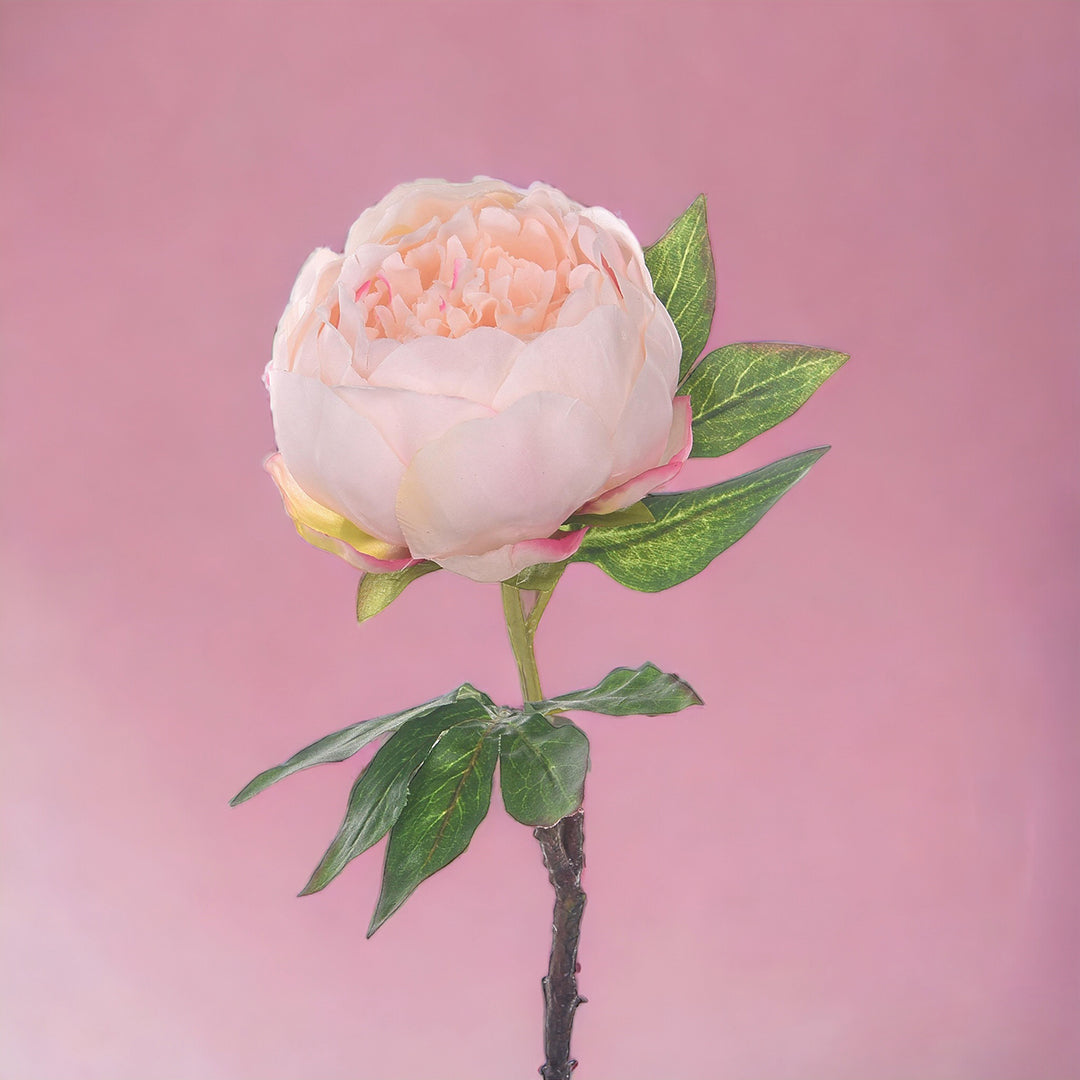 2 Pezzi • Fiore di Peonia artificiale • 50 cm