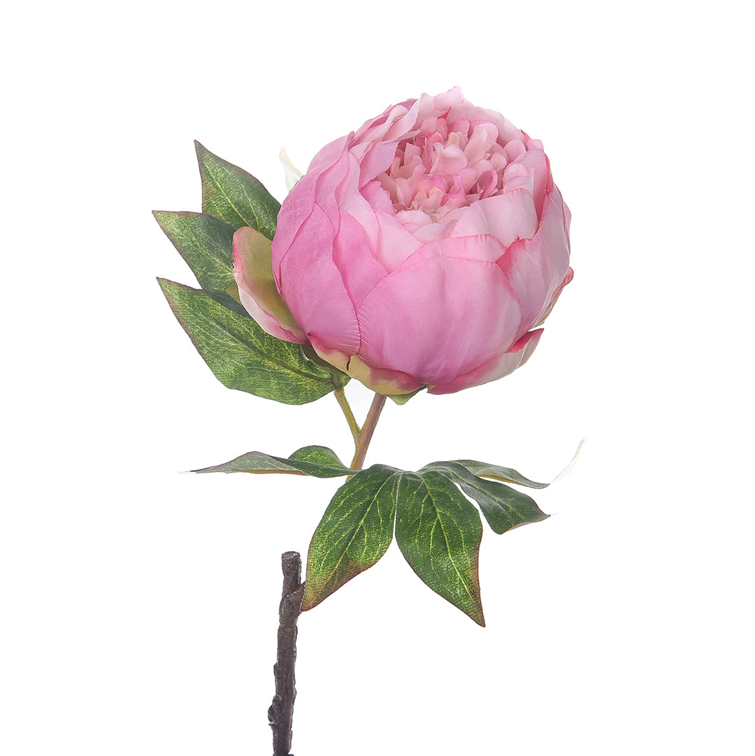 2 Pezzi • Fiore di Peonia artificiale • 50 cm