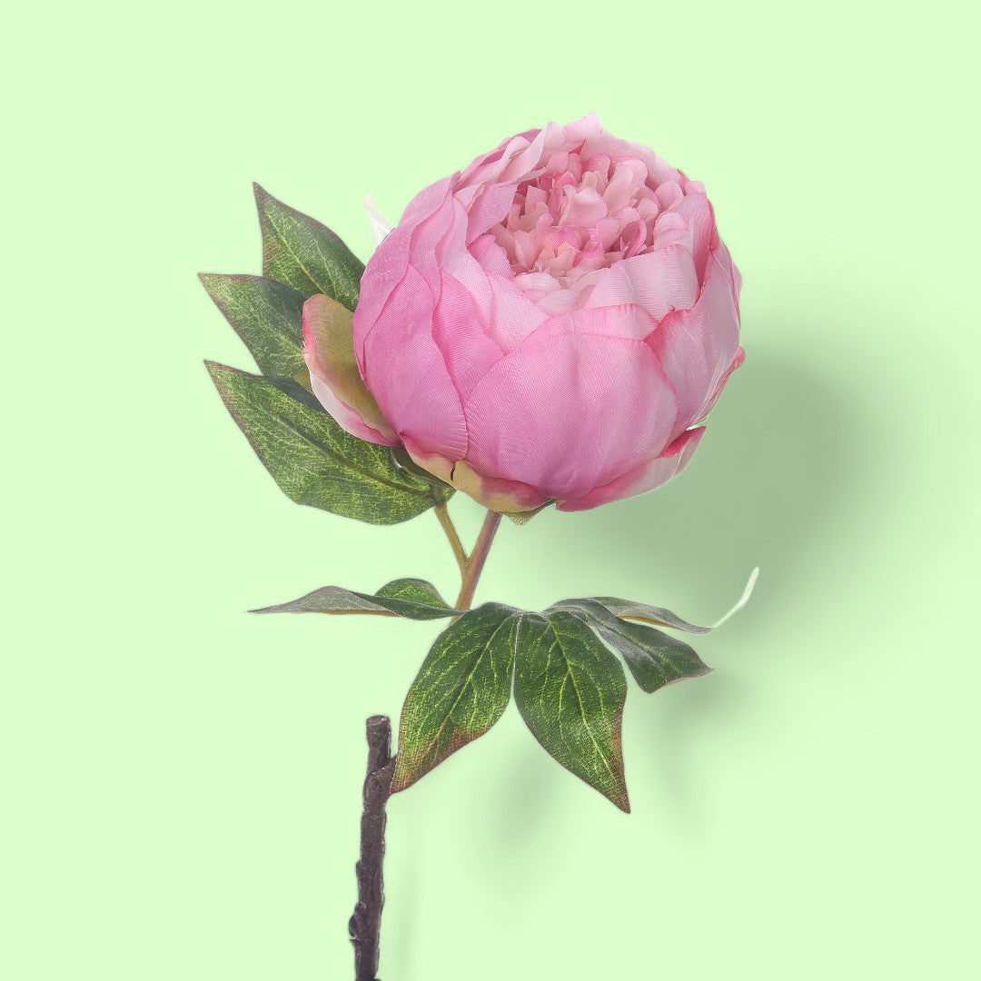 2 Pezzi • Fiore di Peonia artificiale • 50 cm