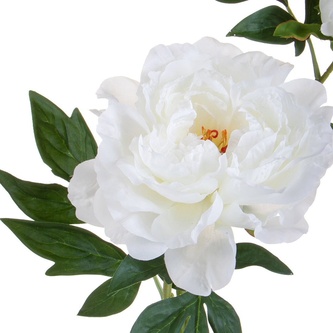 Peonia Grande • 65 cm