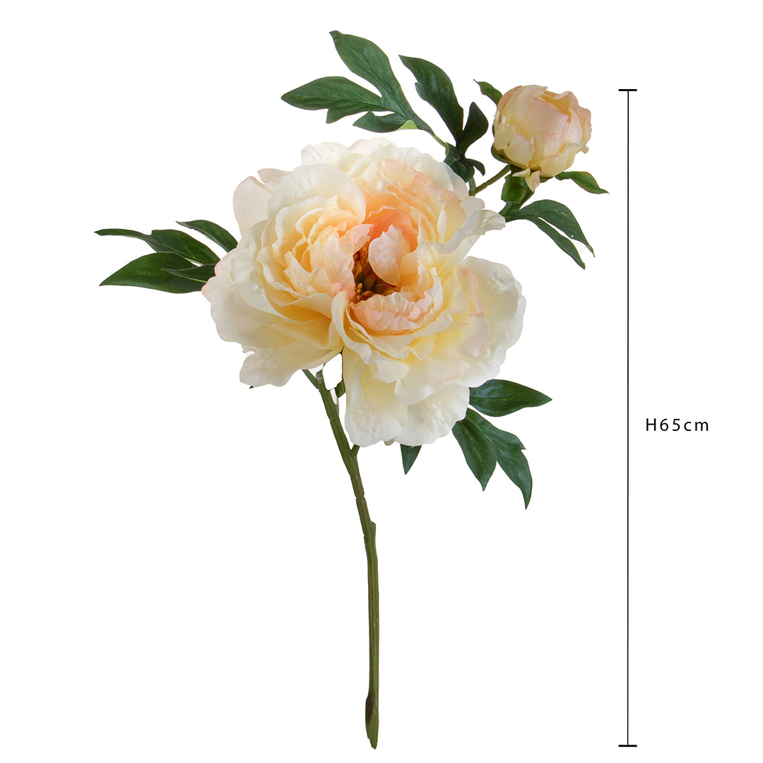 Peonia Grande • 65 cm