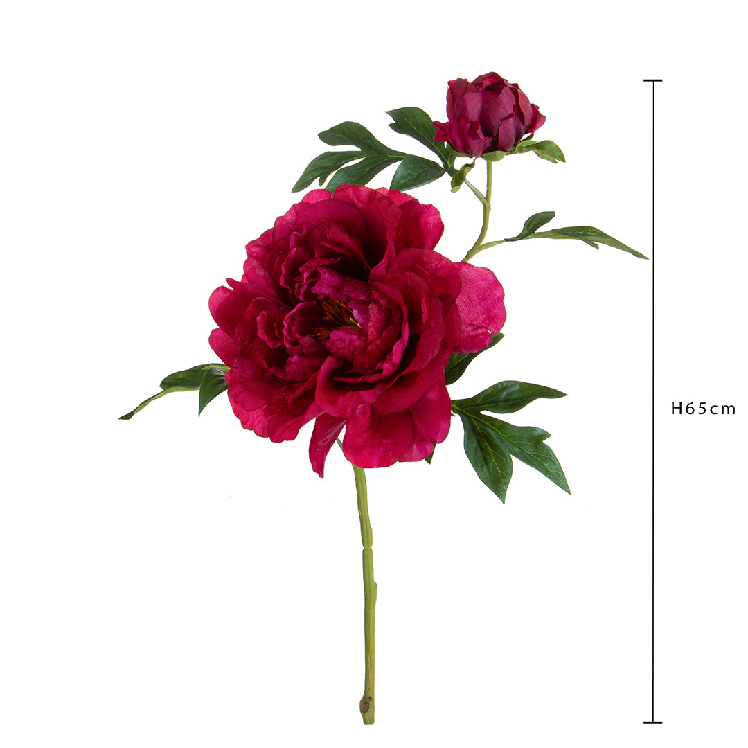 Peonia Grande • 65 cm