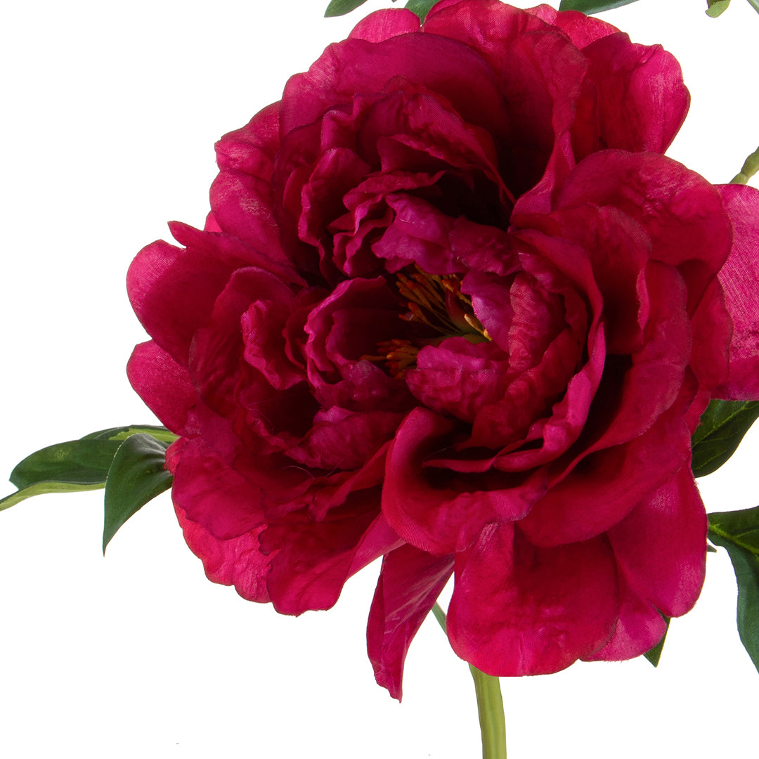 Peonia Grande • 65 cm