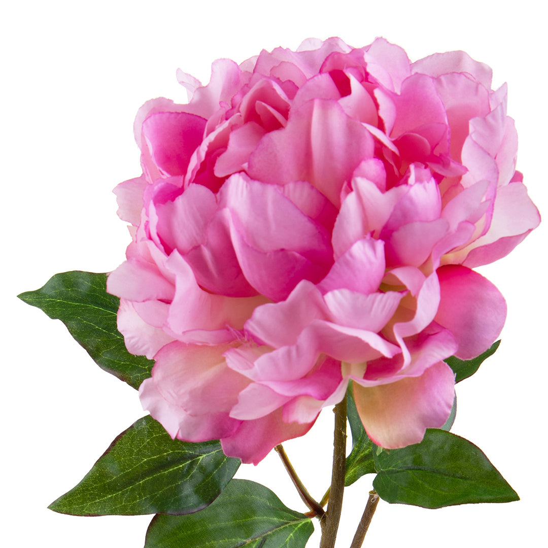 3 Pezzi • Fiore di Peonia artificiale • 57 cm