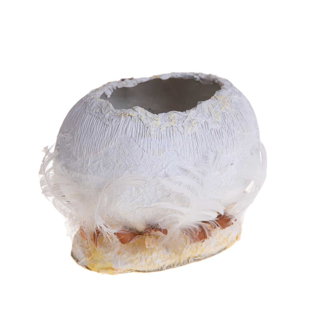 6 Pezzi • Uovo contenitore piccolo senza coperchio • 12 cm