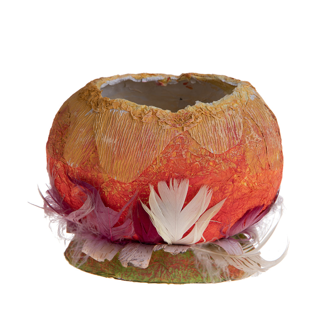 6 Pezzi • Uovo contenitore piccolo senza coperchio • 12 cm