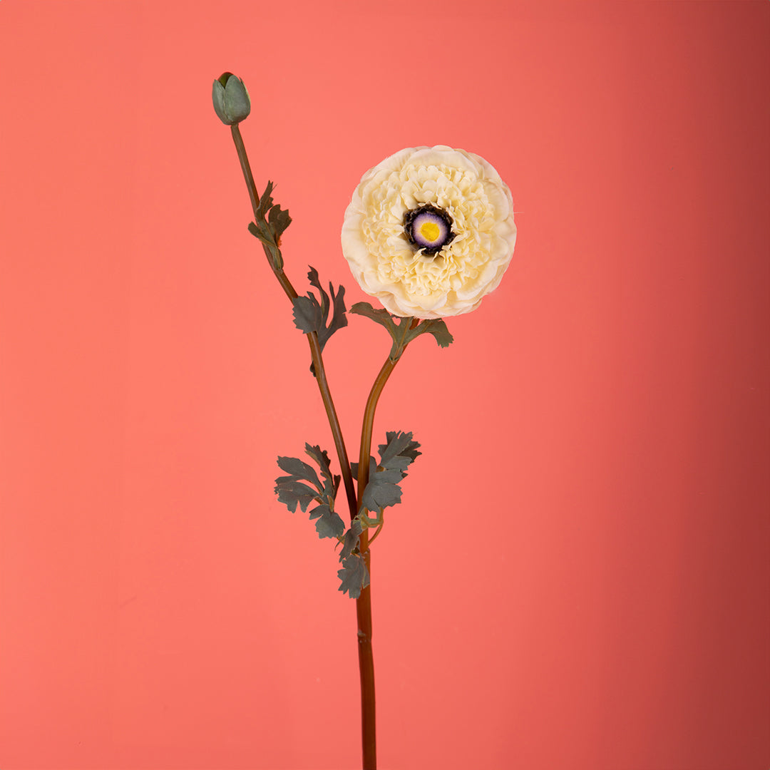 2 Pezzi • Ranucolo con boccio artificiale • 70 cm