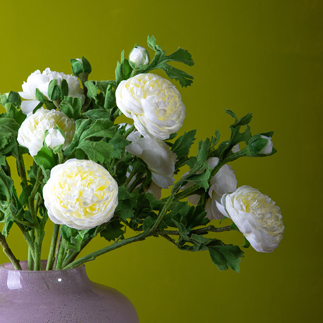 Ranuncolo per 2 fiori • 46 cm